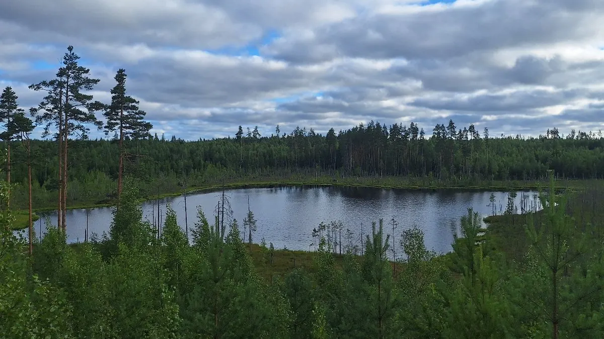 Лайт-вело ПВД в окрестностях Орехово