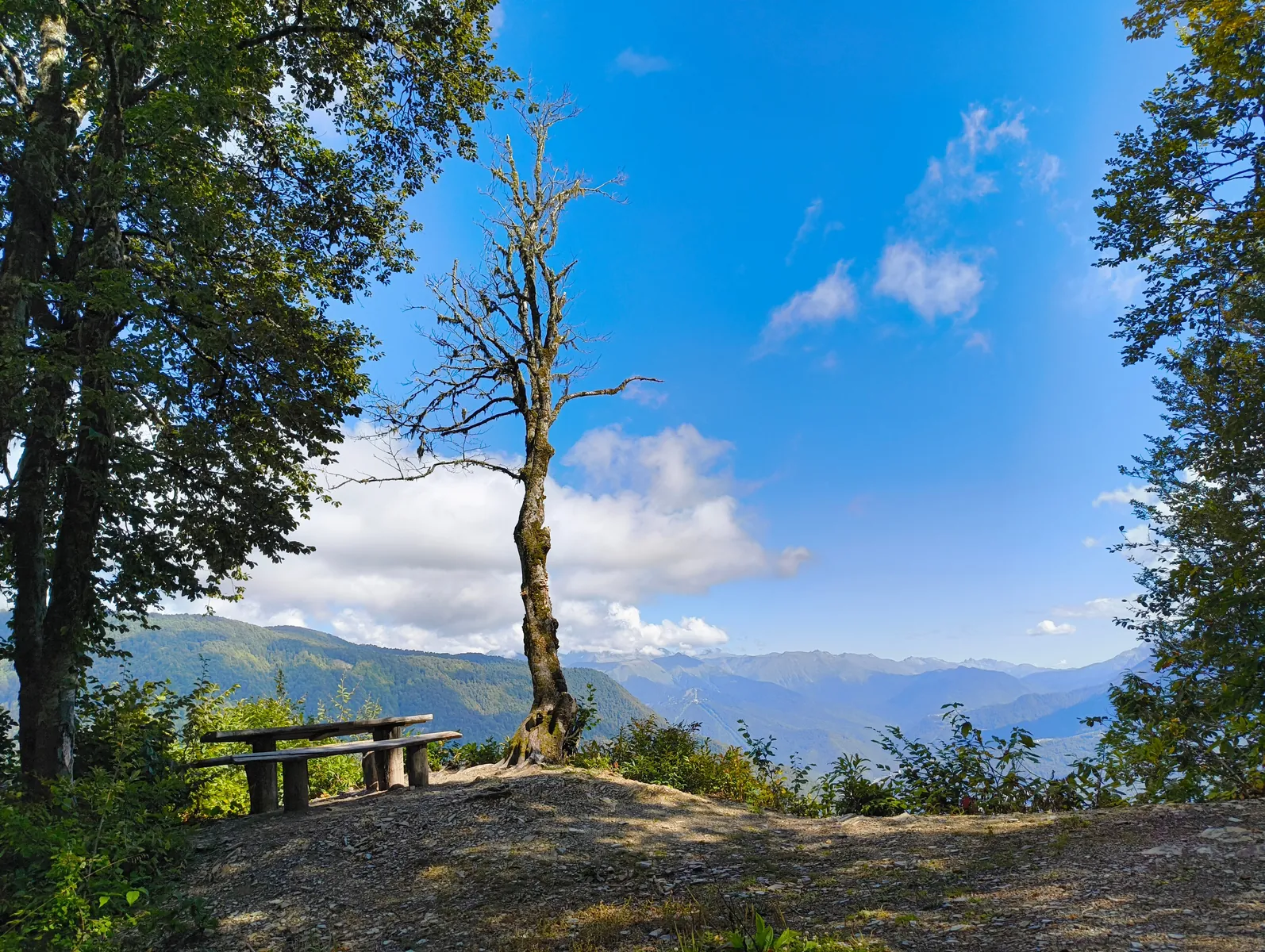 Greek Viewpoint Route in the Reserve: hiking in Сочи