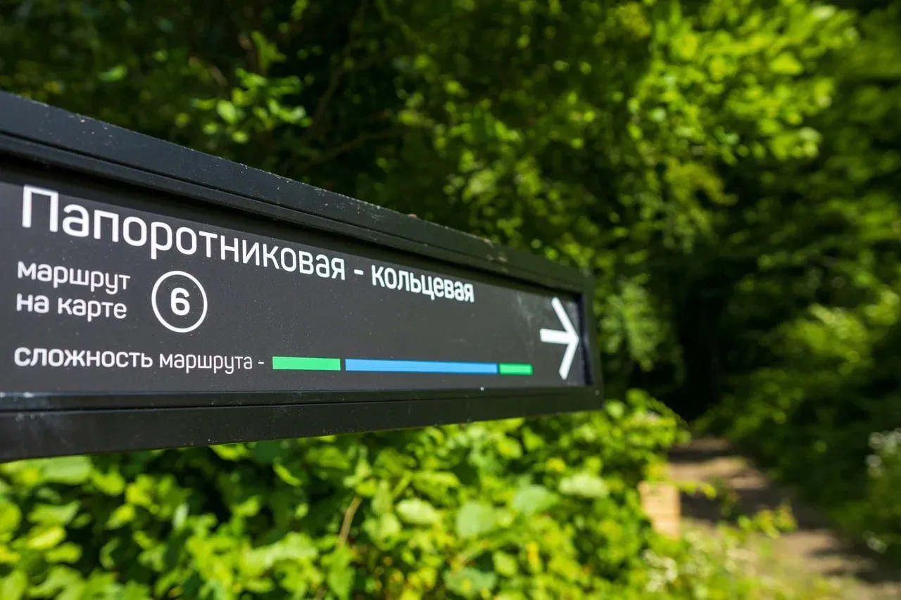 Fern Eco Trail: hiking in Сочи