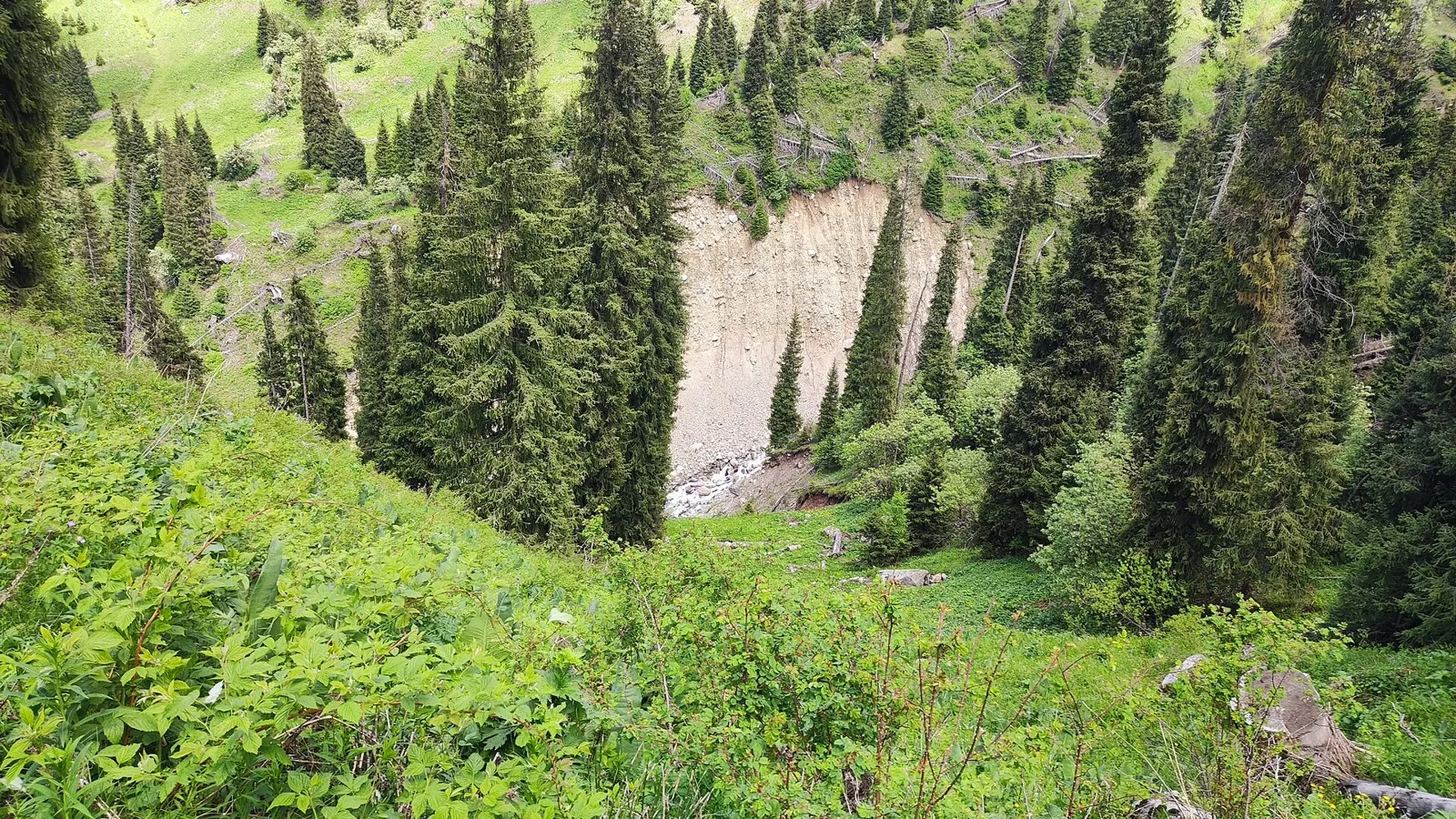 Old climbing path