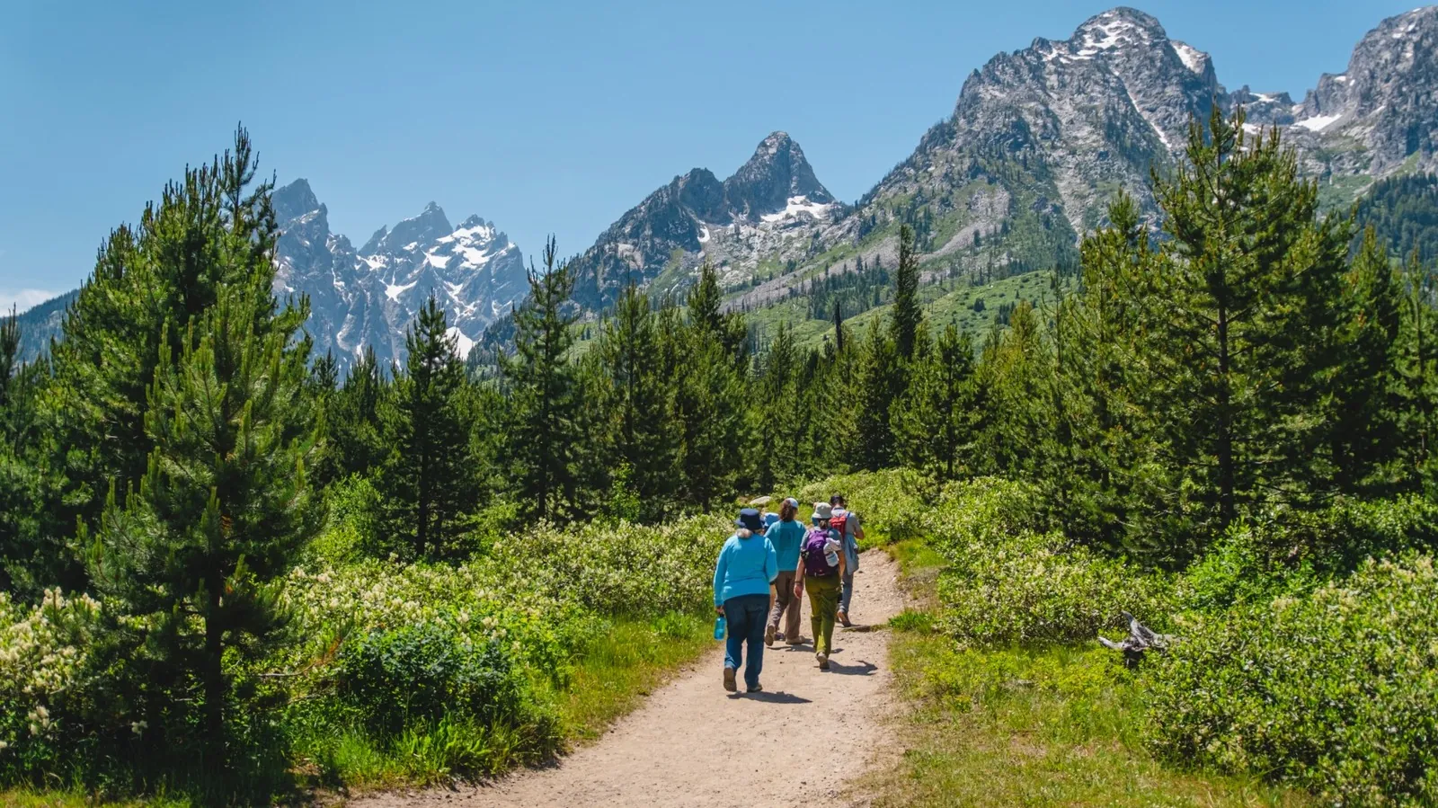 Тропа Тенерифе: Chafarí Spur trail: хайкинг в регионе Псков и Псковская область