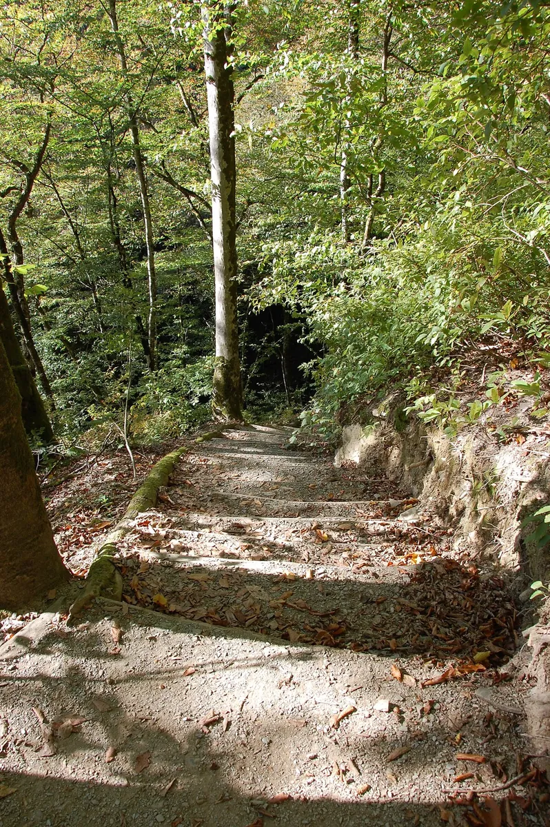 Health trail Maloe Loop: hiking in Krasnodar Krai
