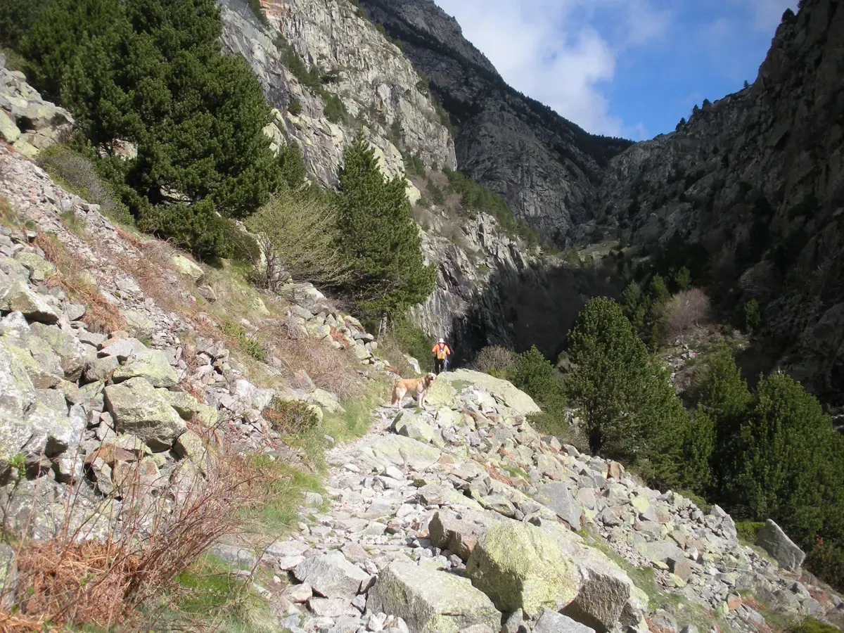 Camí Vell: старая тропа Майорки