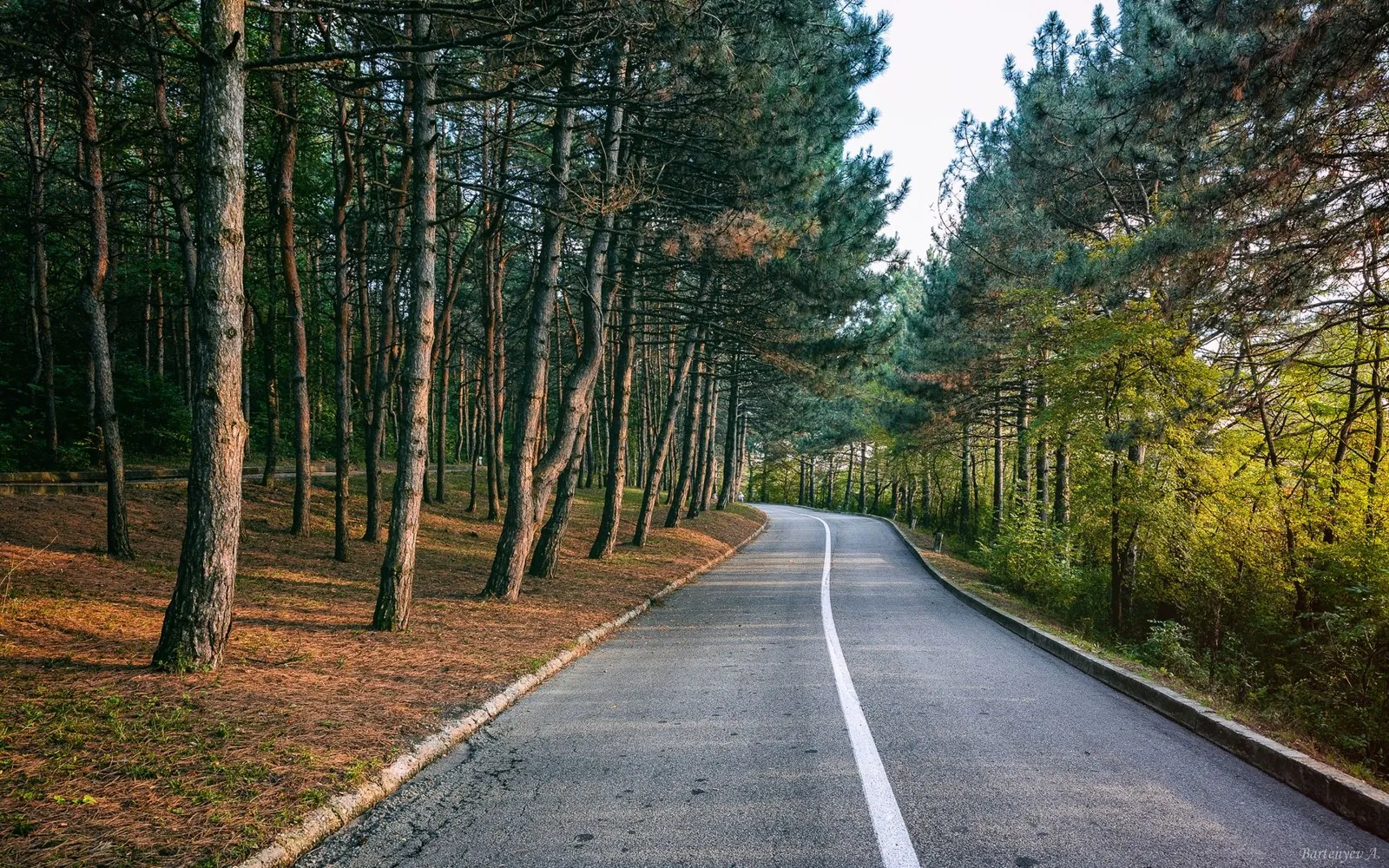 Mountain-Biking Route in the Caucasus — 4,9 km