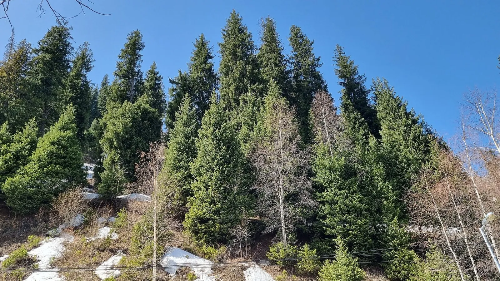 Studencheskaya tropa: hiking in Алматы