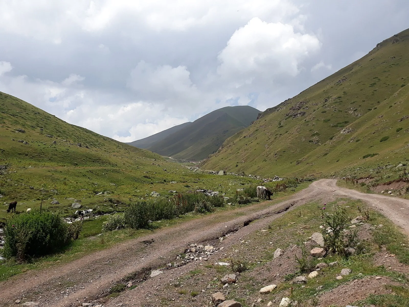 Caucasian trail - Karachay-Cherkessia, unmarked trail: hiking in Georgia