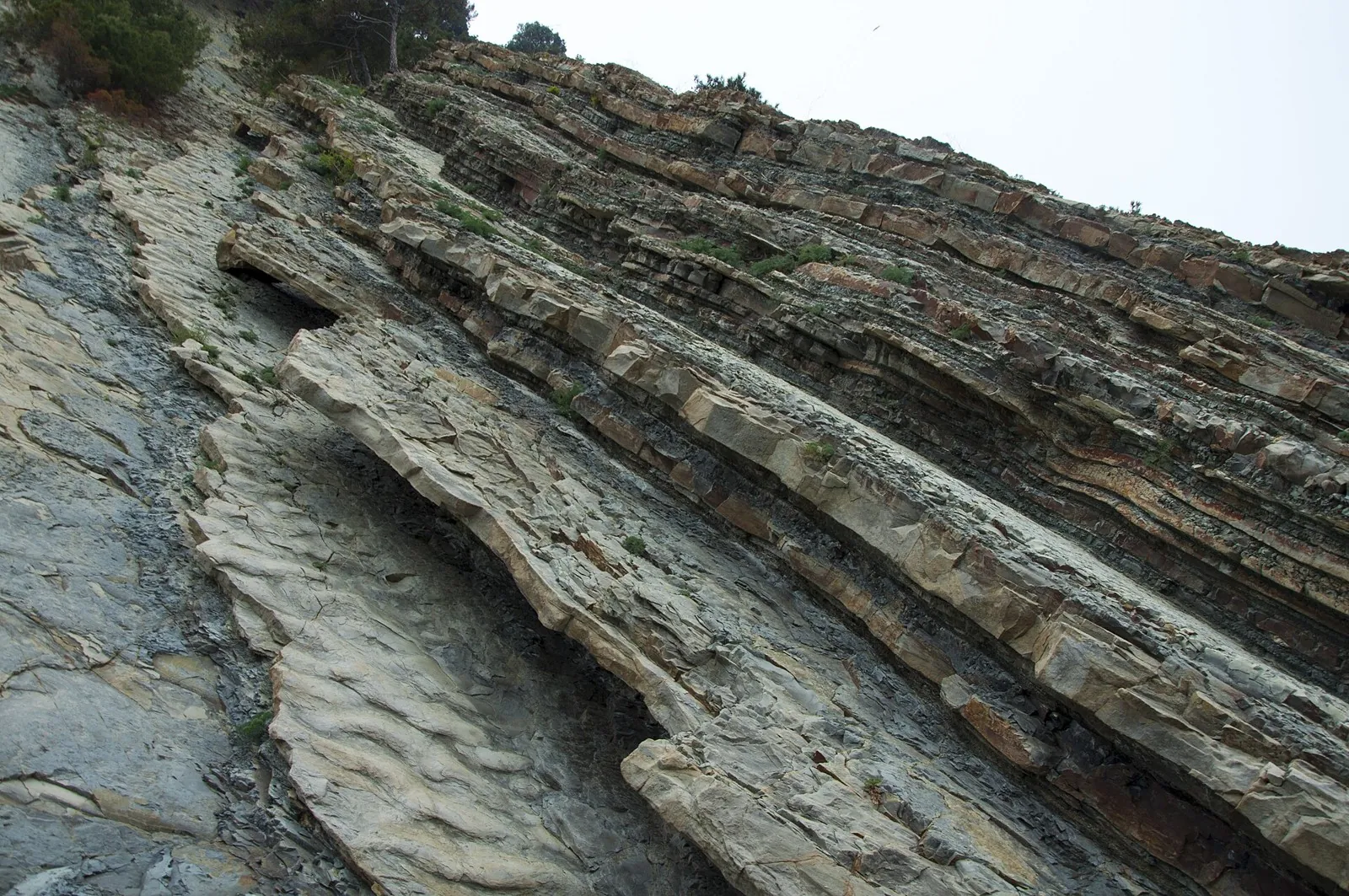 Walking route: Caucasus, 1.4 km: hiking in Krasnodar Krai