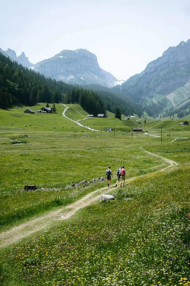 Zentralalpenweg 02A: большой маршрут Центральных Альп