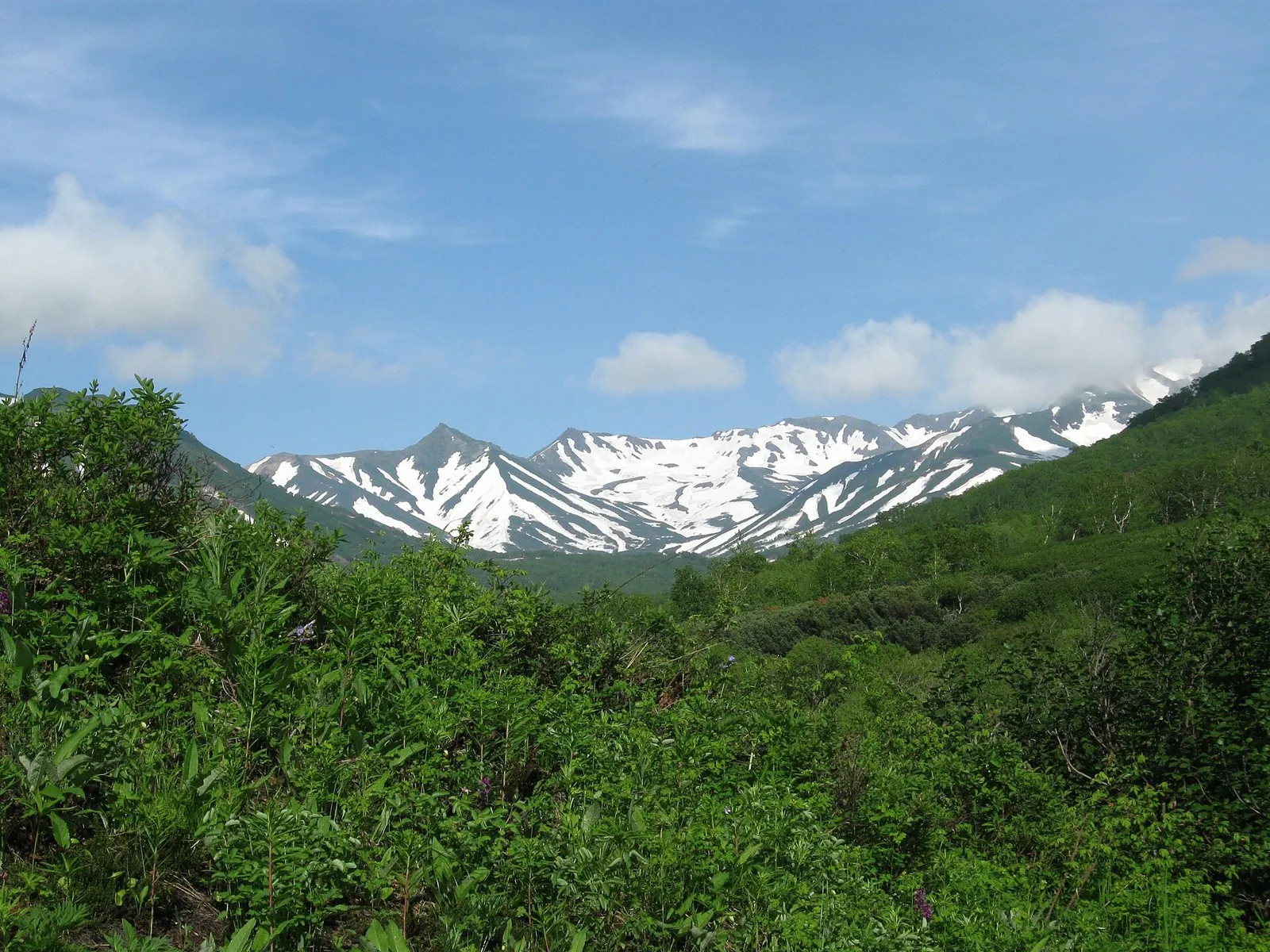 Pinachevo: Tsentralnyy