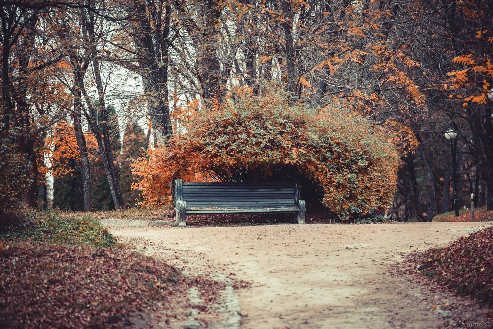 Terrenkur № 2