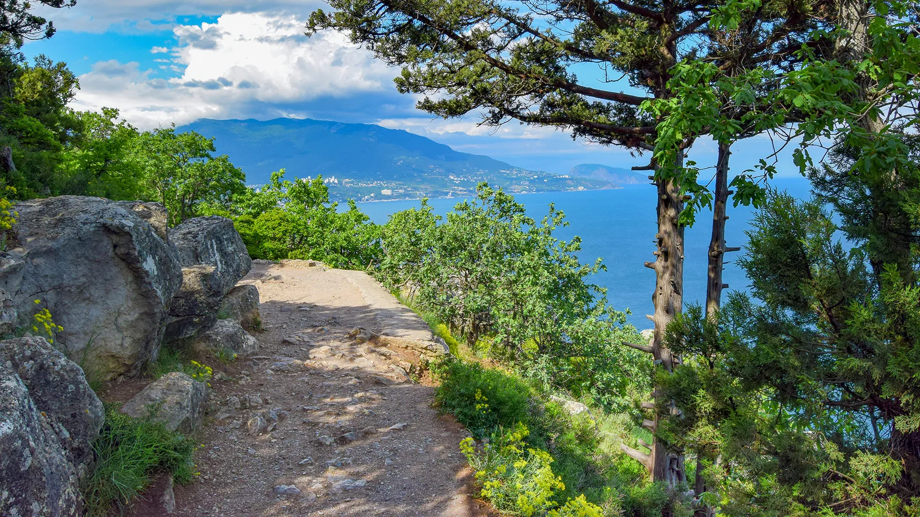 Кабанья тропа в Крыму: короткий лесной круг