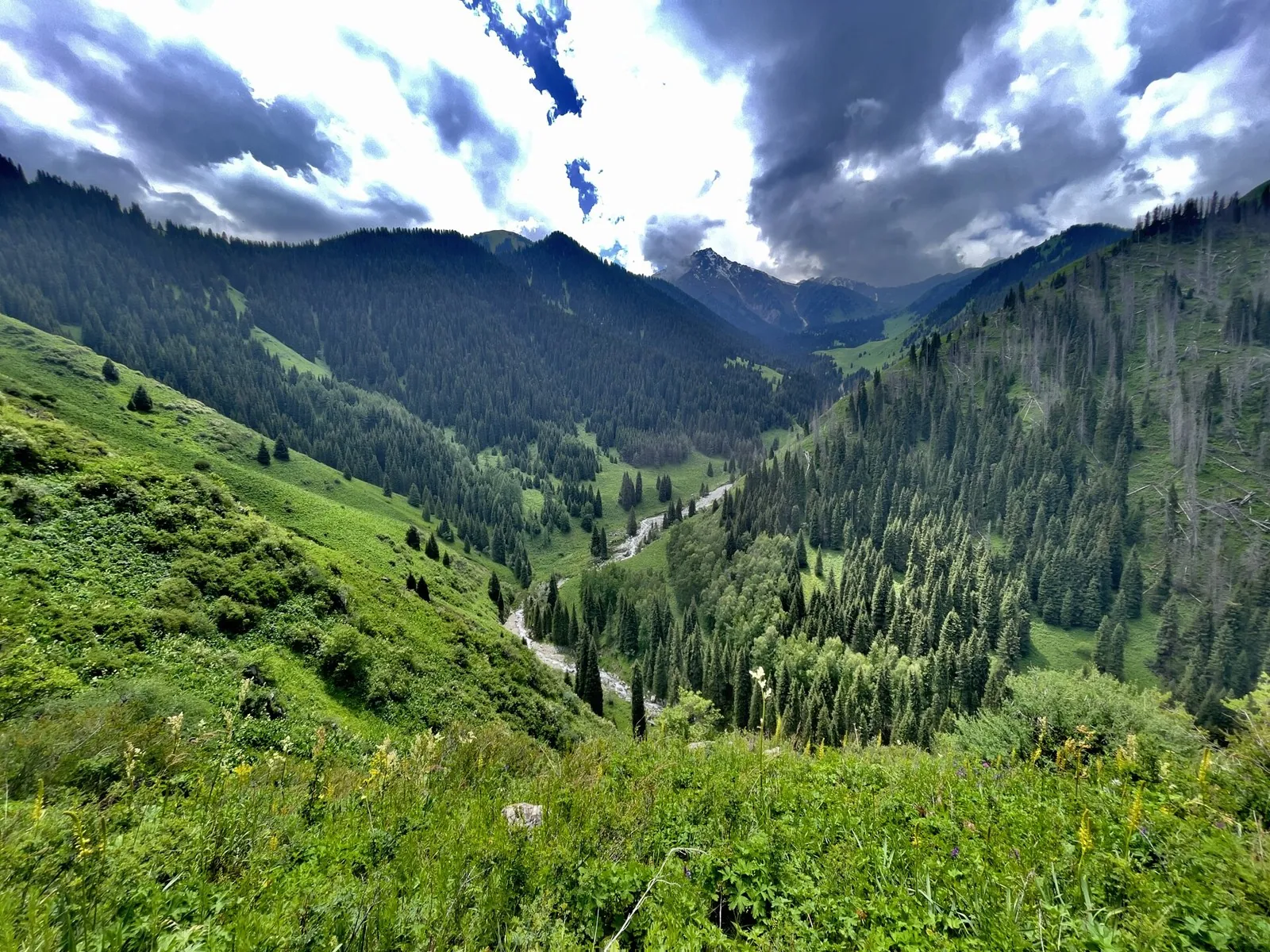 Yukon: hiking in Алматинская область