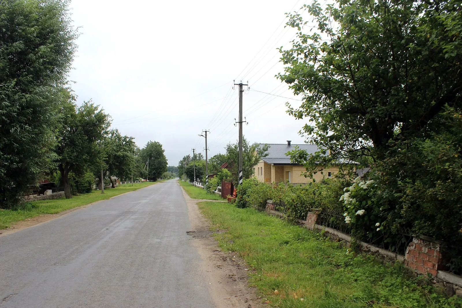 Across the Brest Polesie: Interregional variant