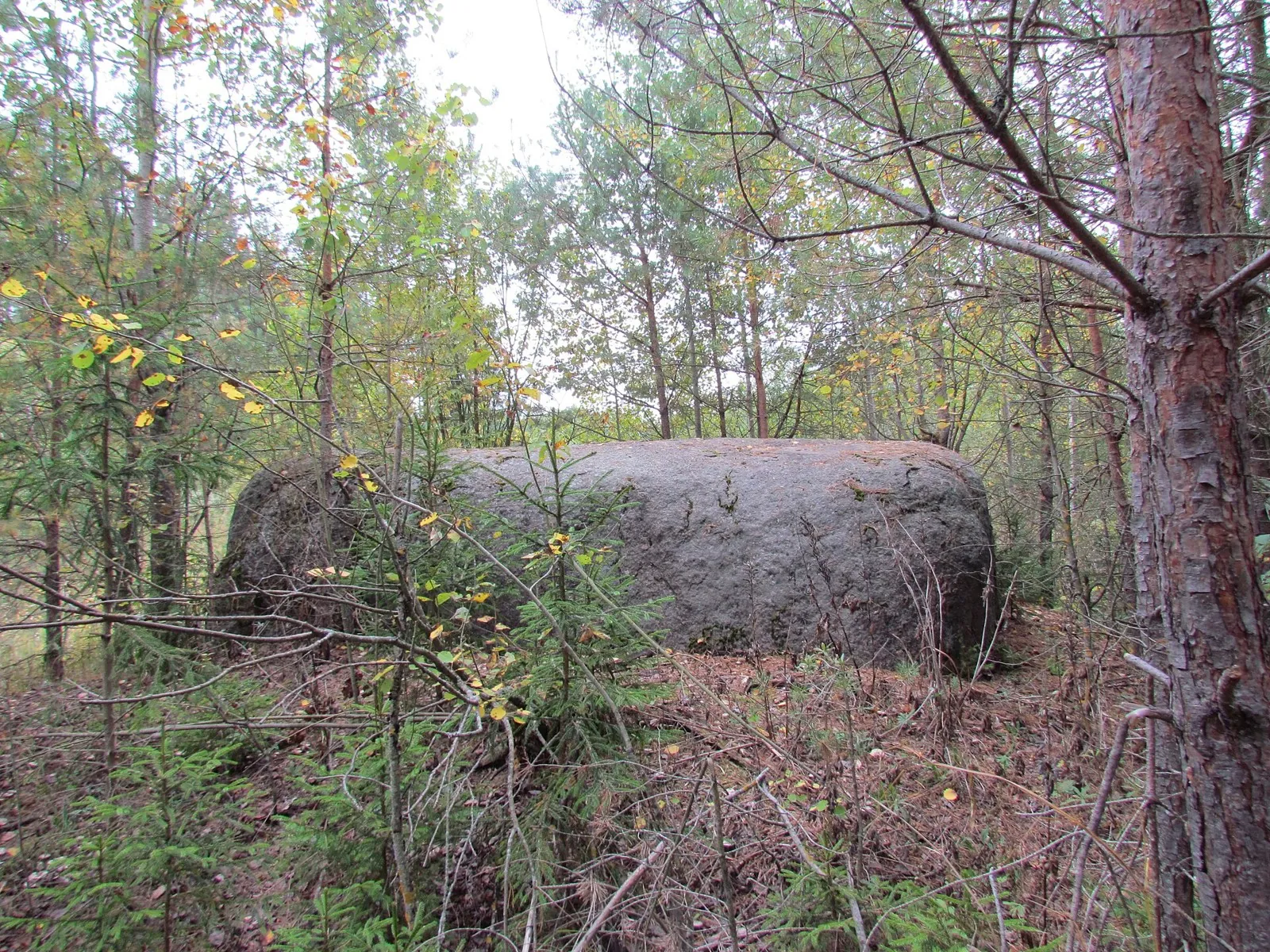 Gorki – Kamenni: Short route: bicycle in Беларусь