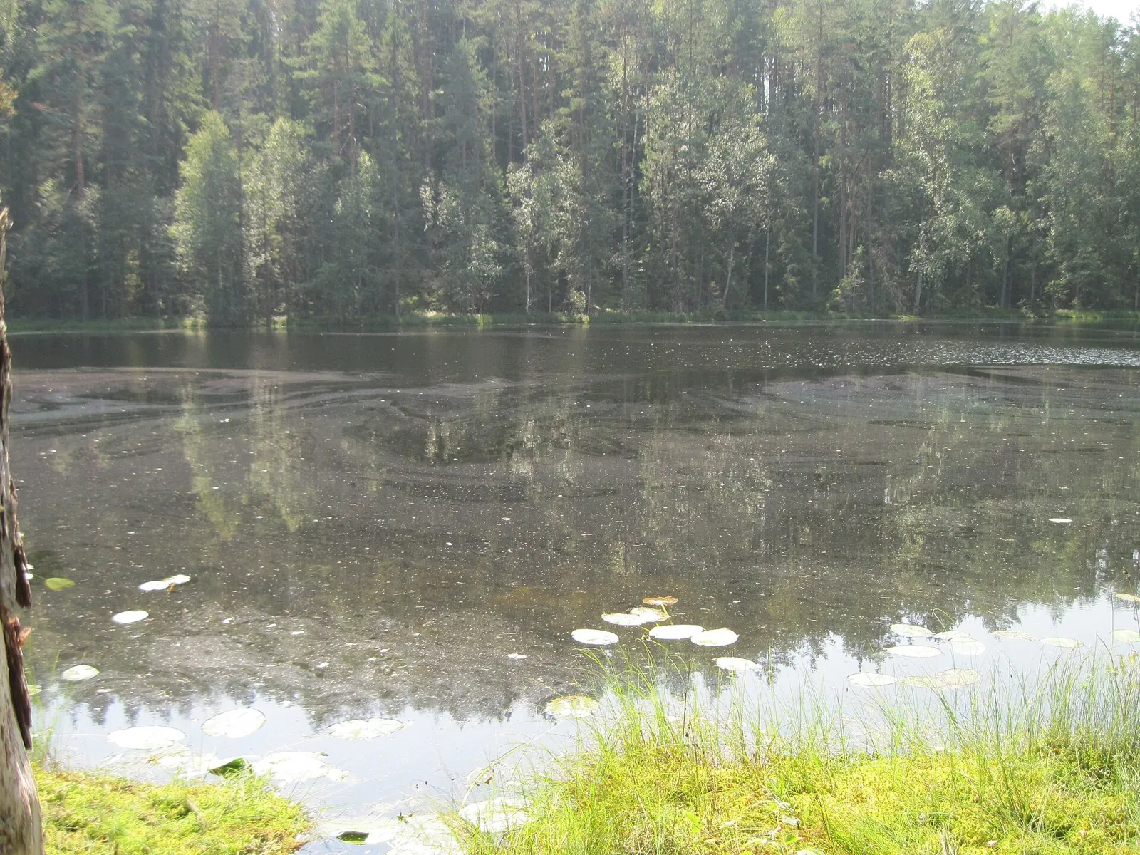 Nature trail «Golubye ozyora»: hiking in Беларусь