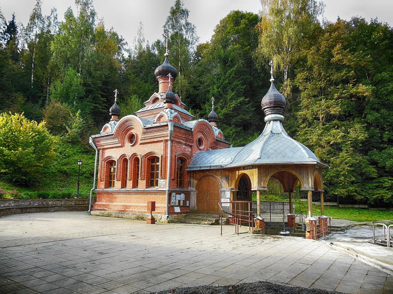 Динамо XCO