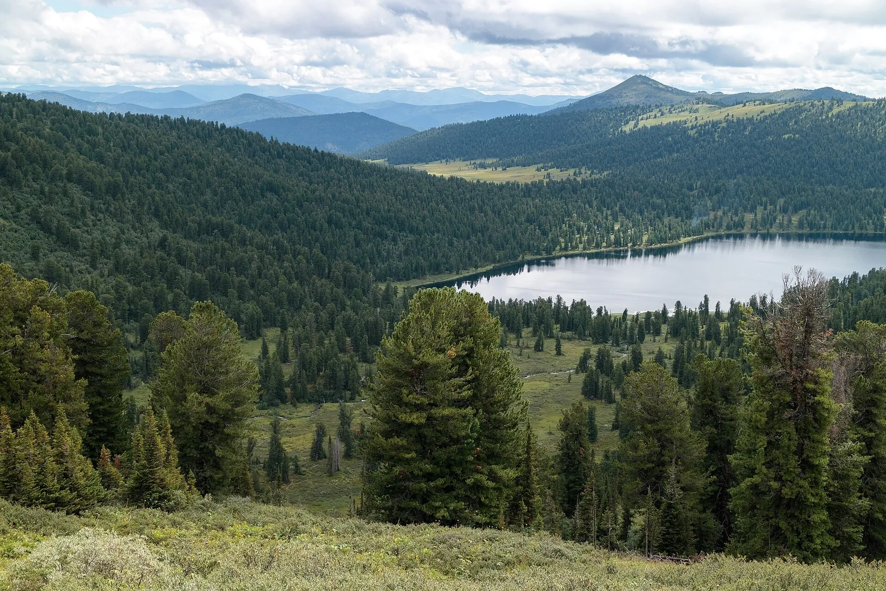 Lake Svetloye to Lake Medvezhye