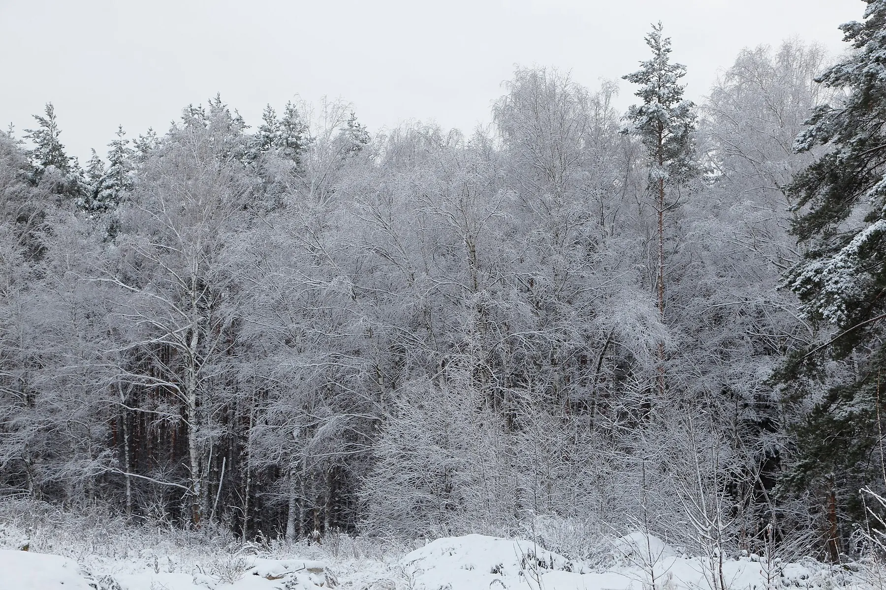 Orbion — Strogino (winter)