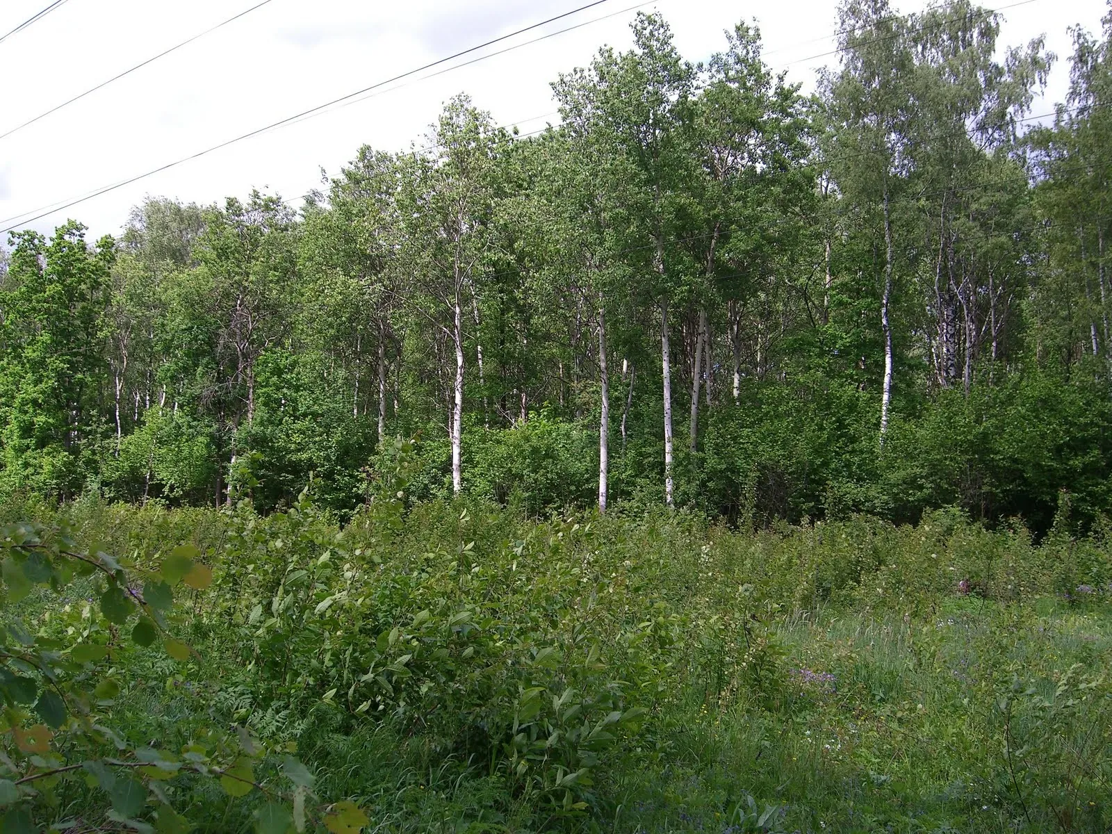 Strogino — Perkhushkovo-31