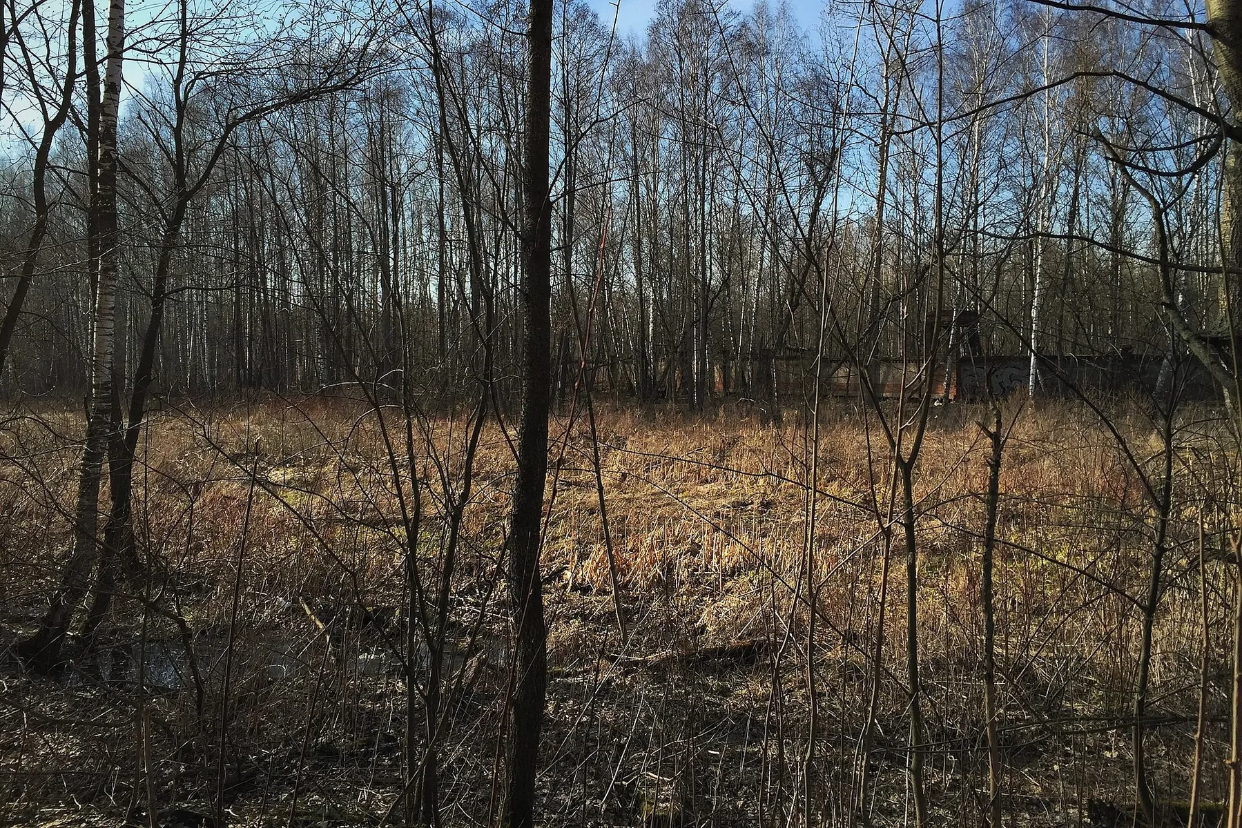 Новогиреево — Лебедянский пруд и Пехра-Яковлевское