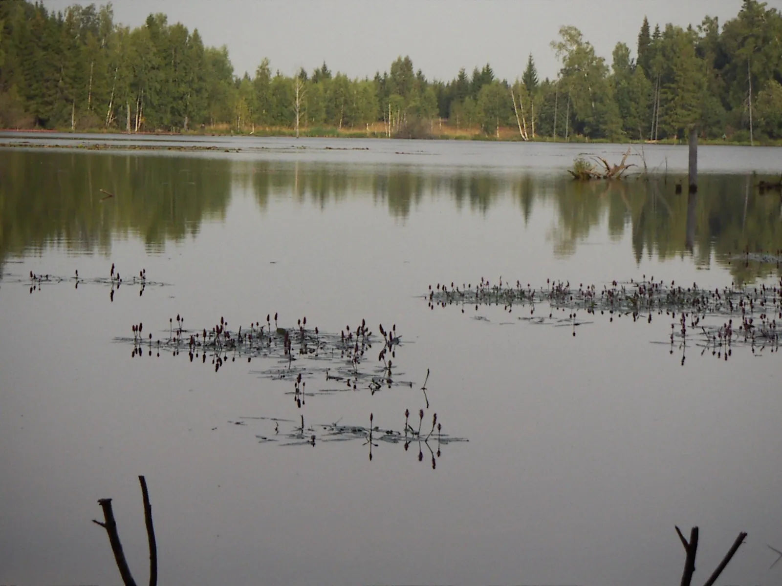 АфСотка+Беклемишево