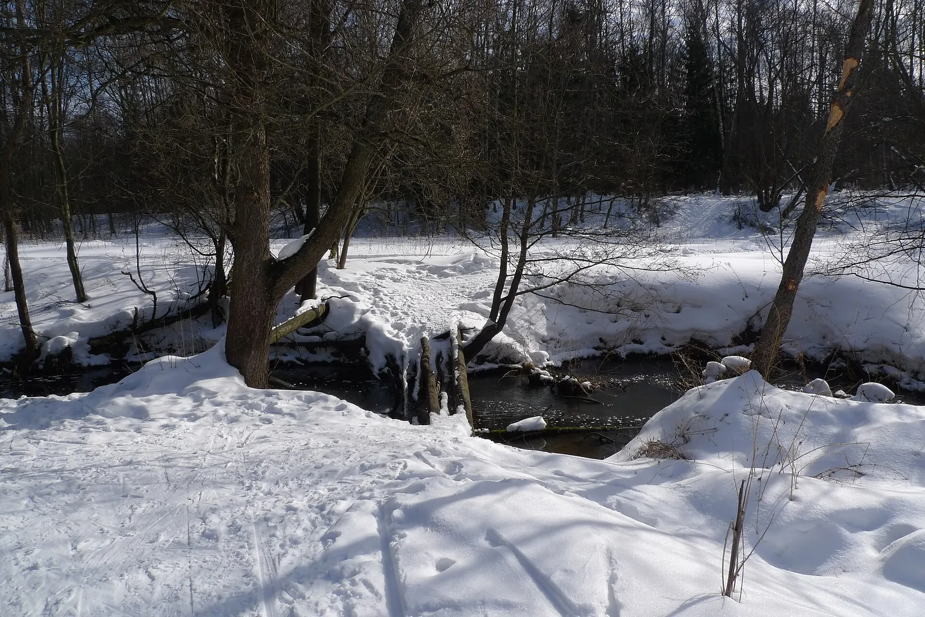 Климовск — лыжная петля 2,1 км