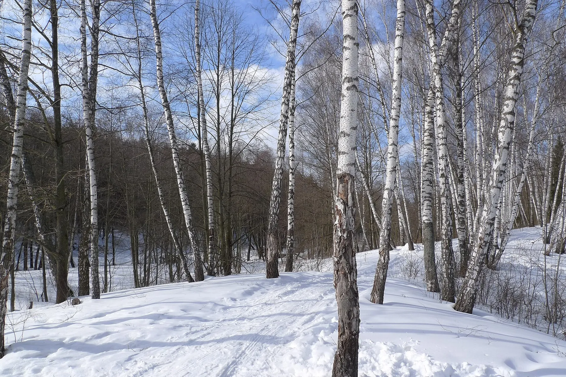 Ski route near Klimovsk — 3.4 km