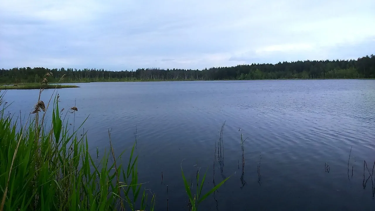 Войново — Заполицы