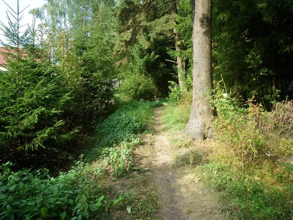Боровский тракт