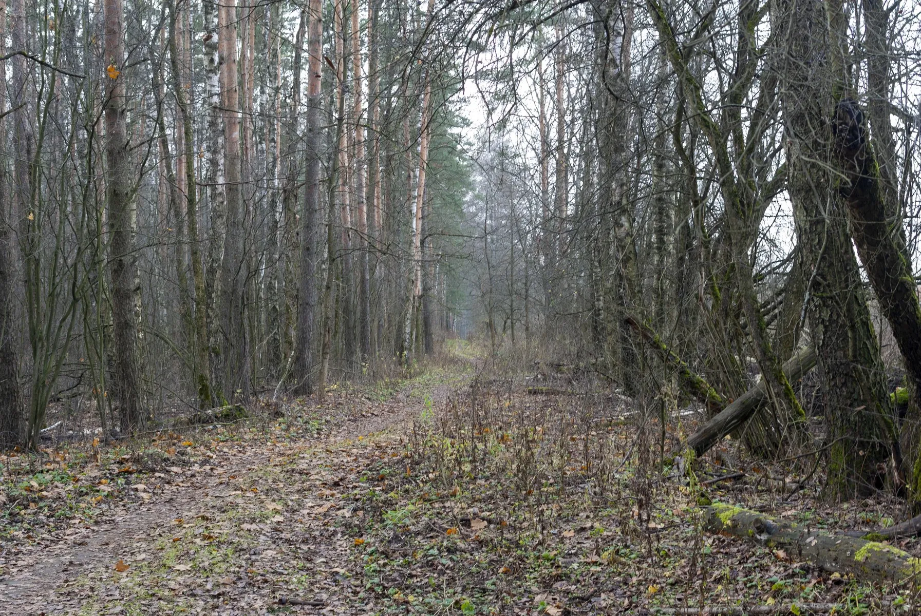 Birdwatching Trail