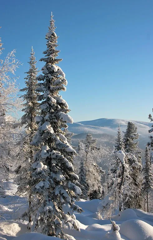 Trek along the Morsky Ridge