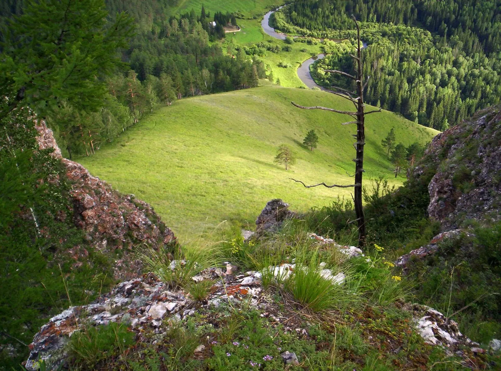 Health Trail