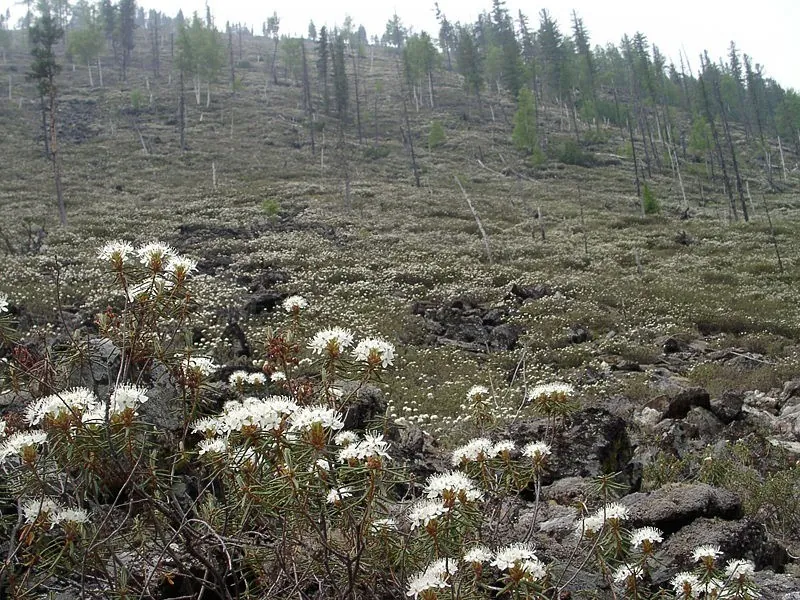 Kharamurin Trek, August 2007