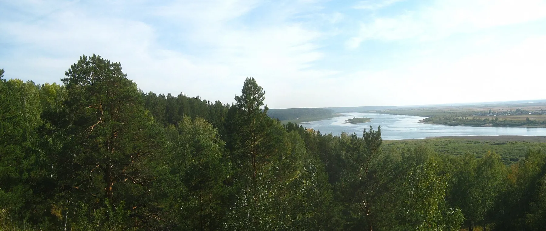 Вело буревесник