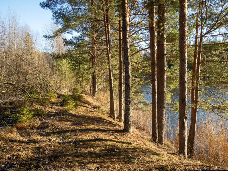 Экотропа «Лазурные воды»