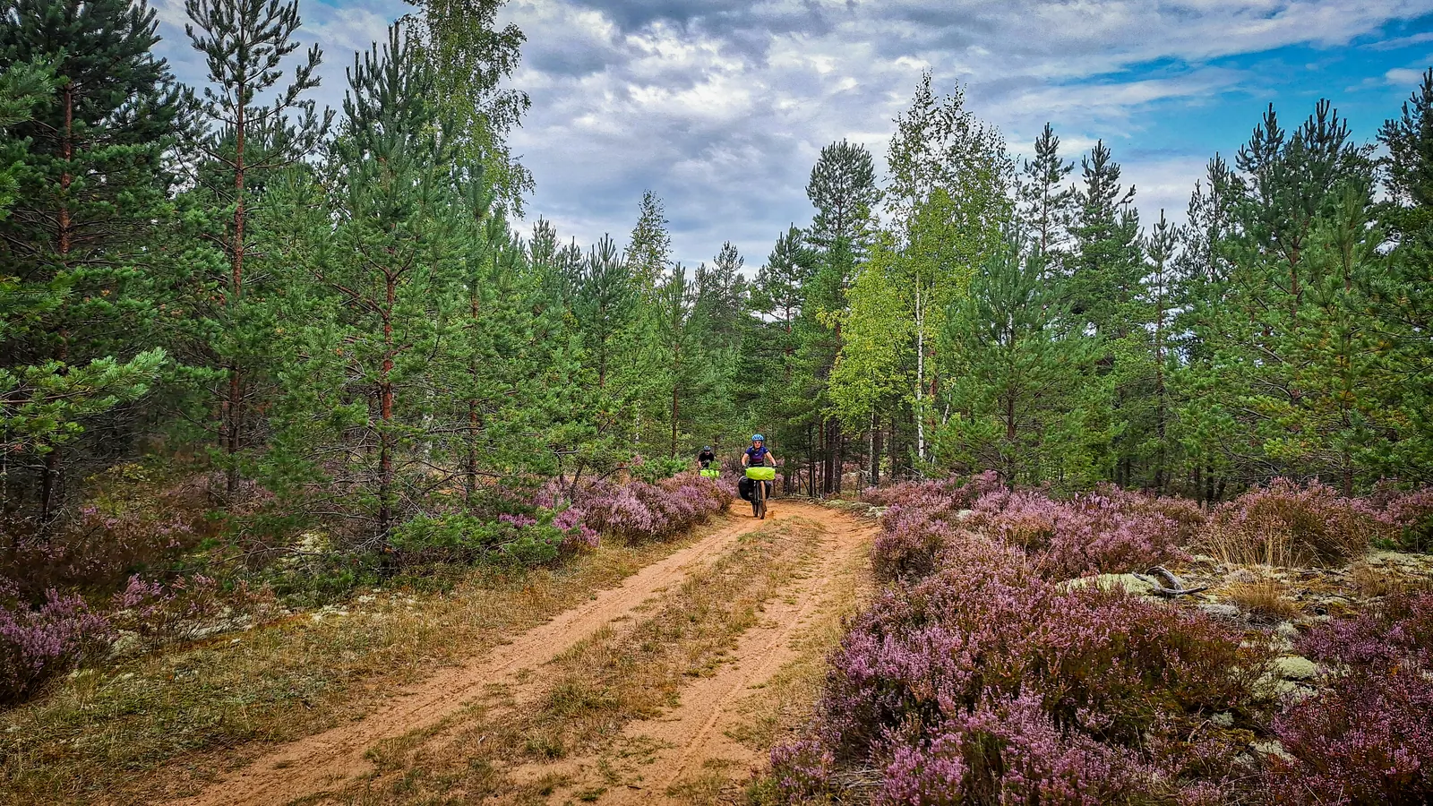 Из Луги в Сяберский заказник и все разновидности песка: hiking in Saint Petersburg and Leningrad Region