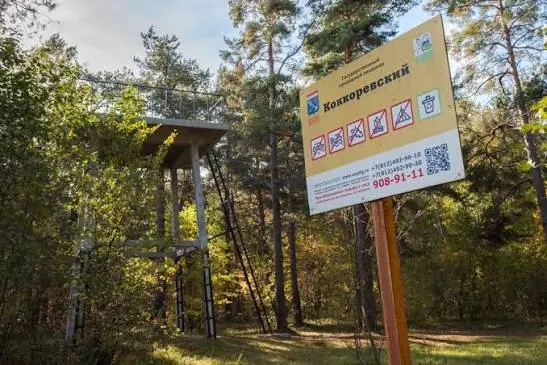 Ладожские берега: экотропа в Коккоревском заказнике
