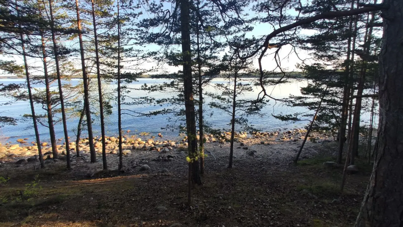 Бухта Ветренная: hiking in Ленинградская область