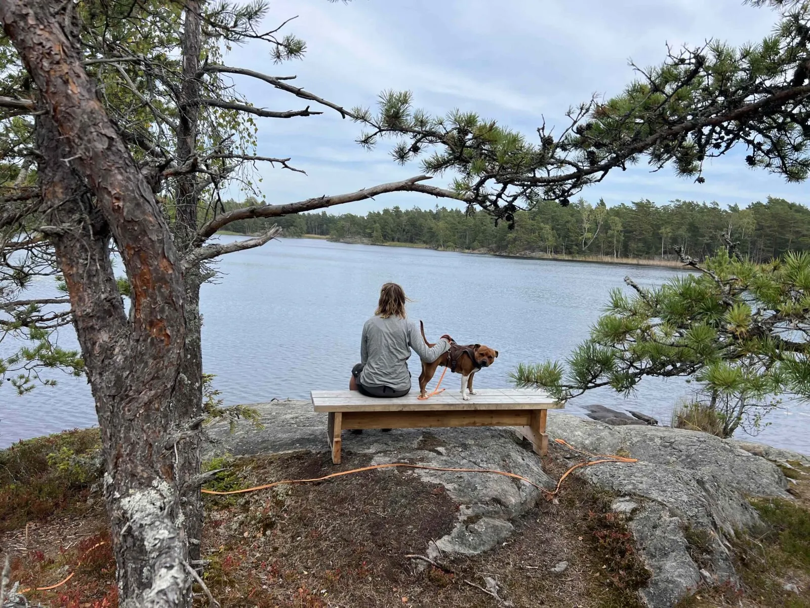 Hundsøyra