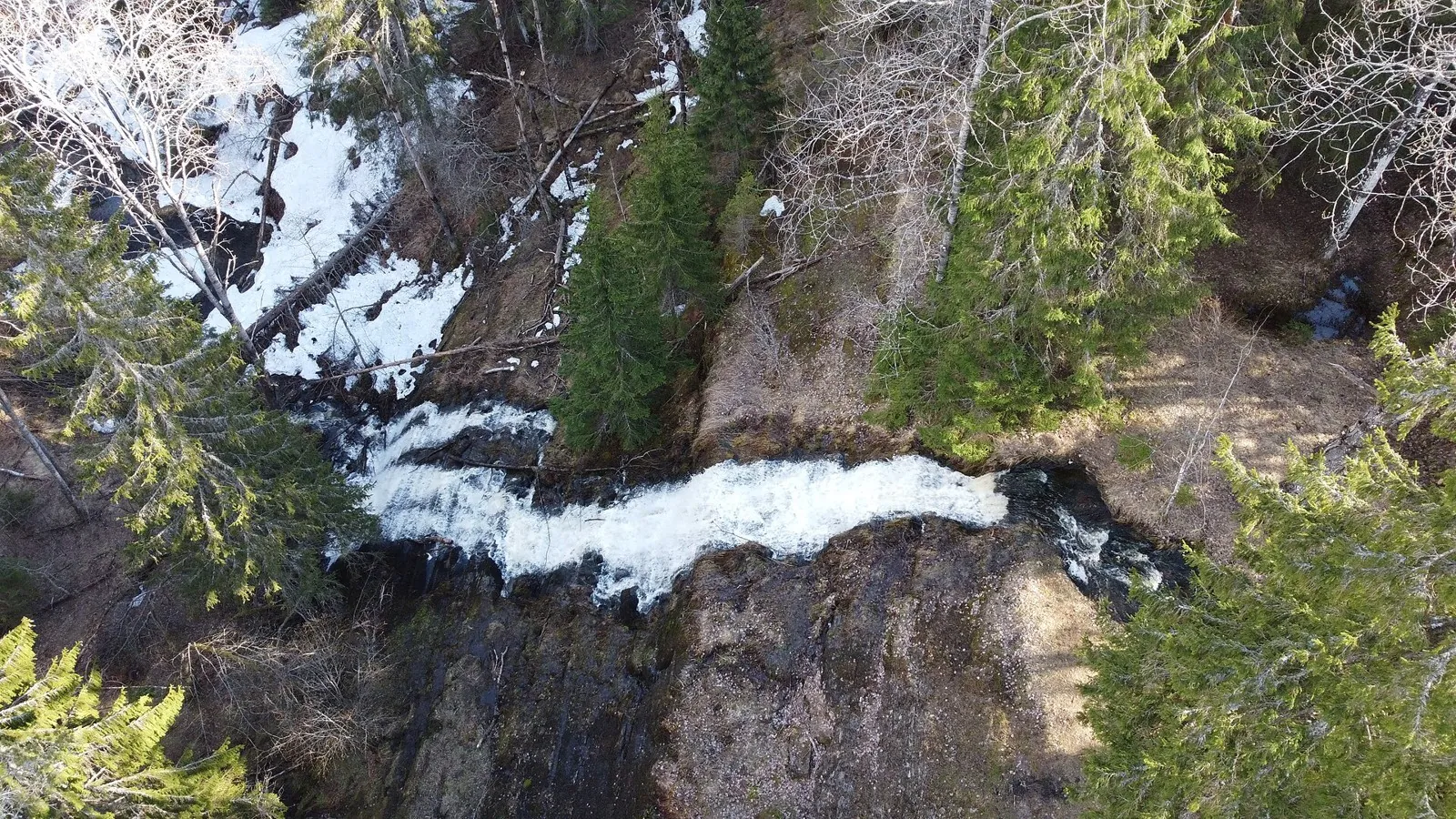Nature trail «Odin den iz zhizni tayozhnogo ostrova»: route photo 3 in Karelia