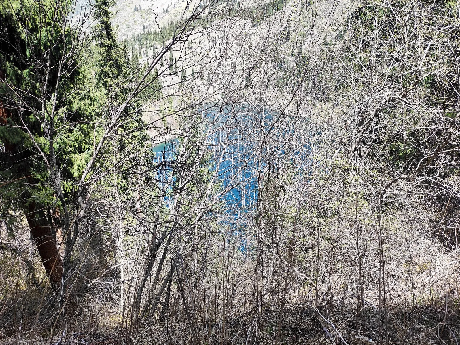 Alatau Amanaty: Marshrut №1. Poselok Kurmenty - Ushchele Saty- ozero Kaindy: route photo 3 in Алматинская область