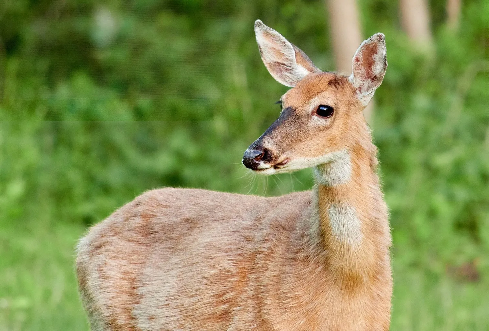 Pass 3430m: route photo