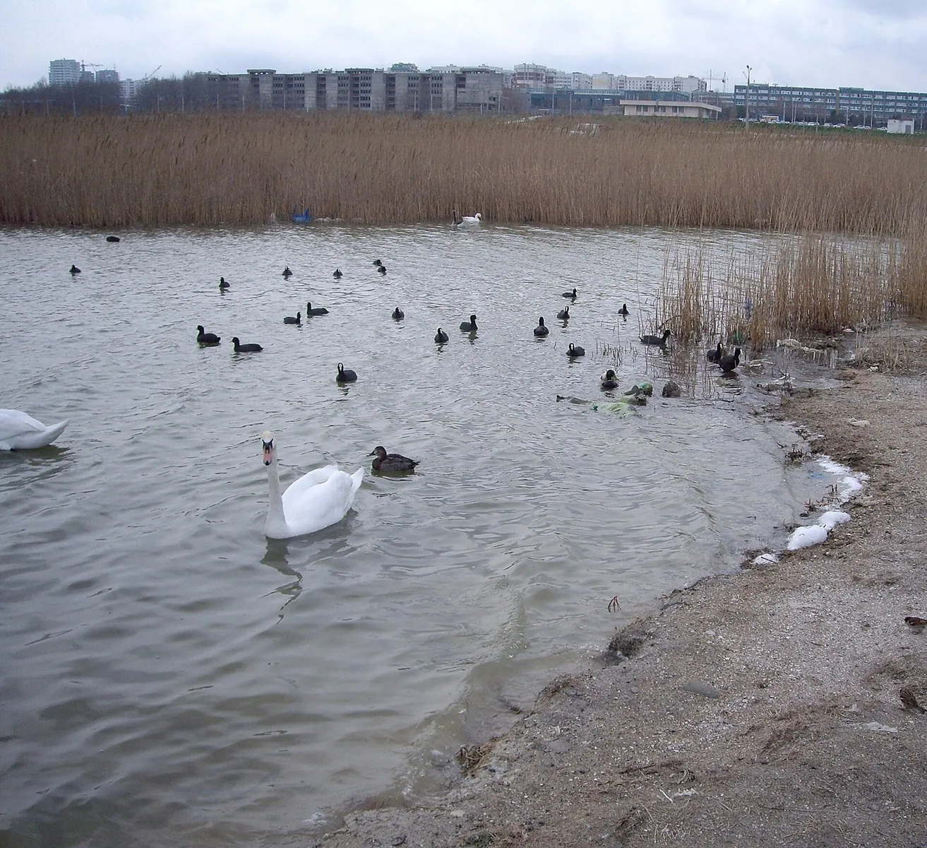 Khayking 7 vetrov: route photo 4 in Krasnodar Krai