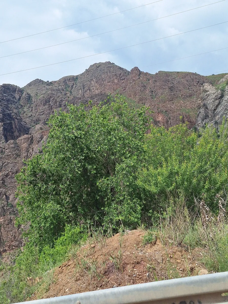 Kek-Art valley: route photo 2 in Джалал-Абадская область