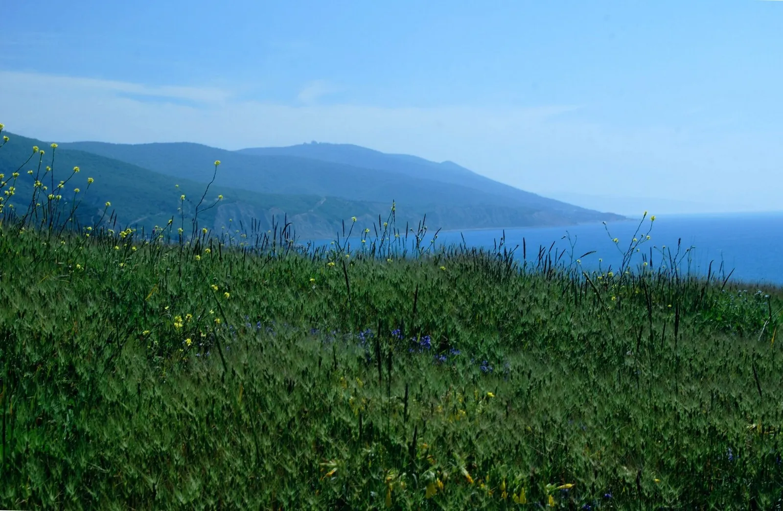 Walking Route in the Caucasus — 2,2 km: route photo 3 in Krasnodar Krai