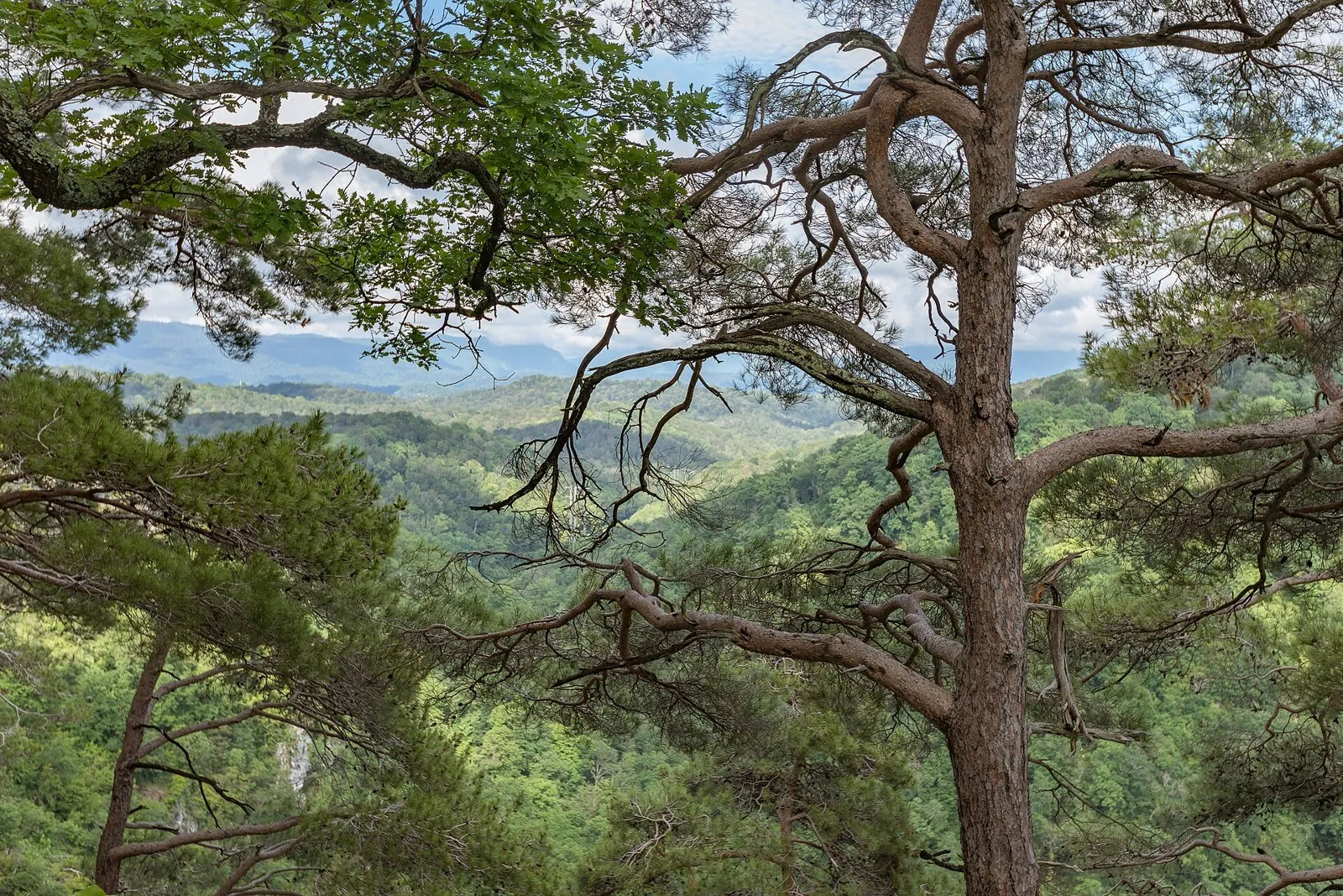 Hanaobodam Trail: route photo 3 in Krasnodar Krai