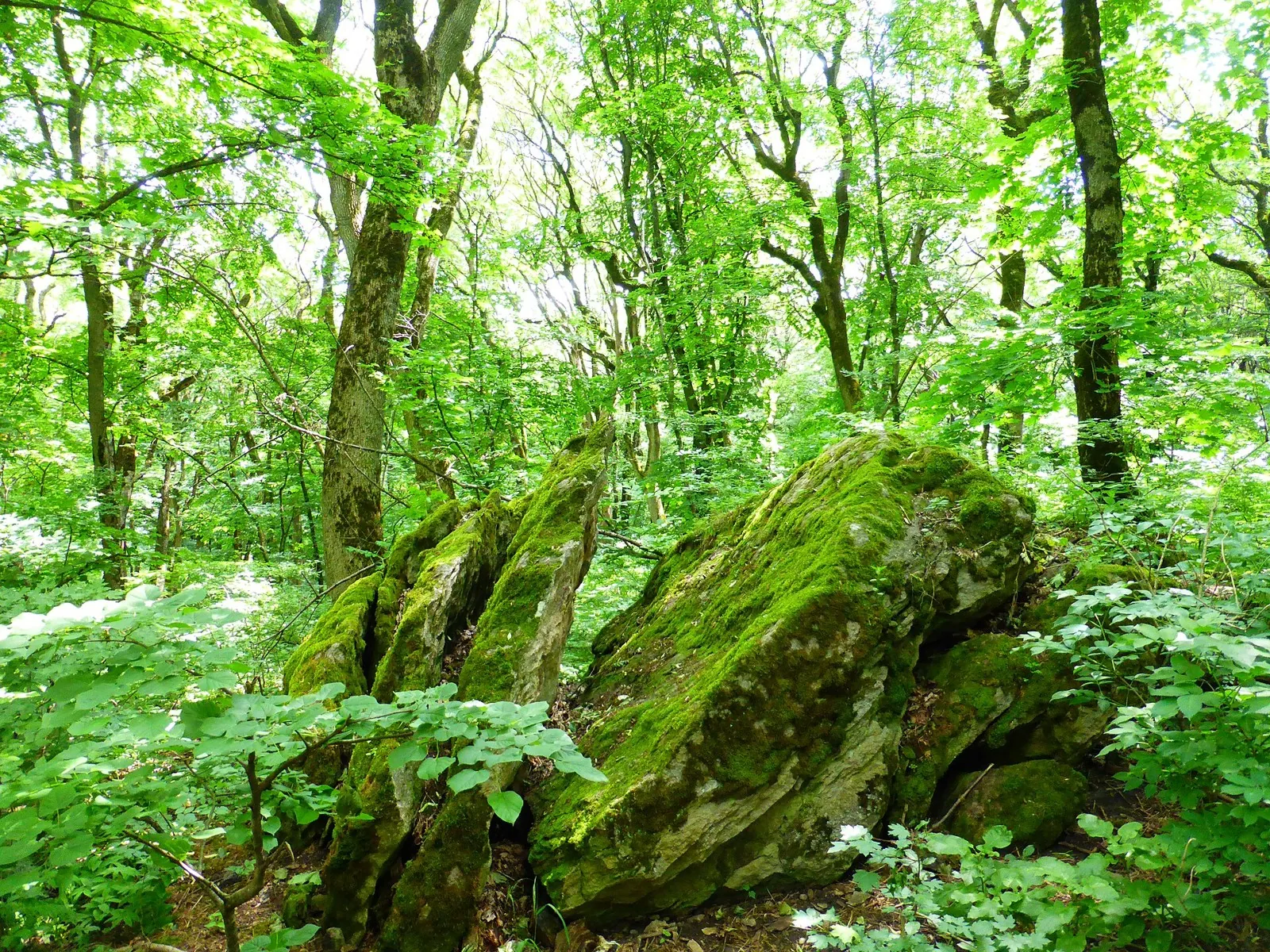 Lermontovskiy Spring => Peshchera vechnoy merzloty => Peshchera pervobytnogo cheloveka: route photo 2 in Caucasus