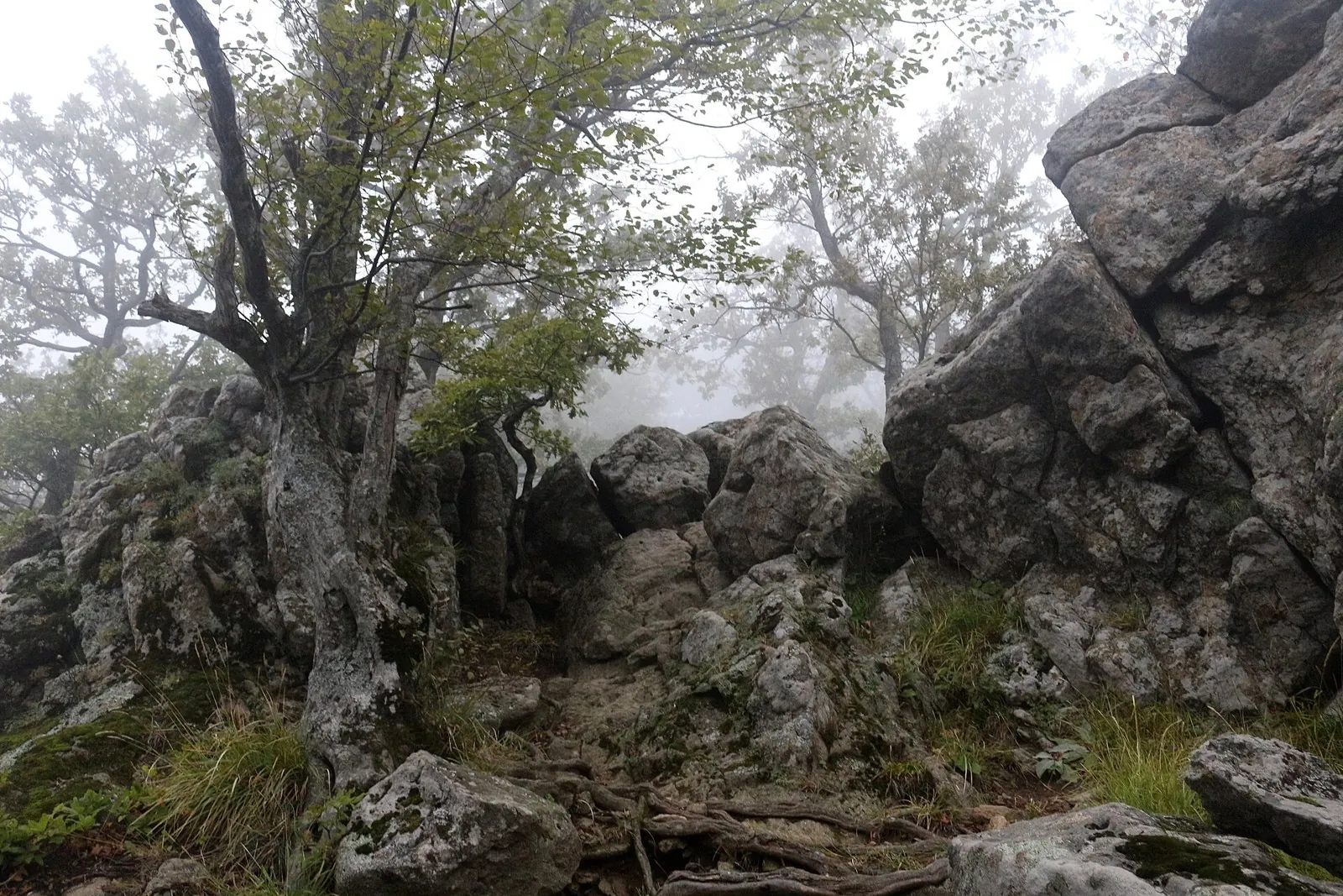 Индюк тропа: фото маршрута