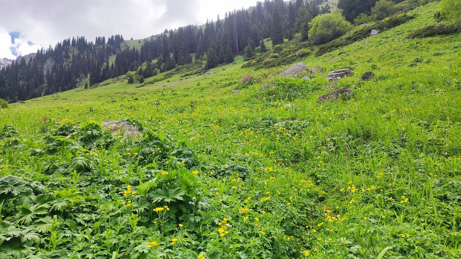 Gornykh strelkov trail: route photo 2 in Алматы